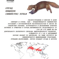 Михаил's Portfolio